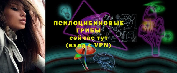 гидра Ладушкин