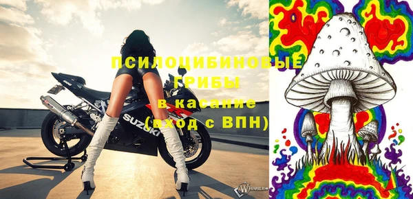 гидра Ладушкин