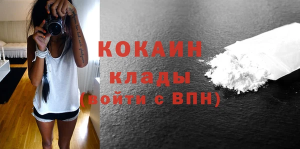 гидра Липки