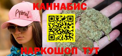 гашик Новодвинск