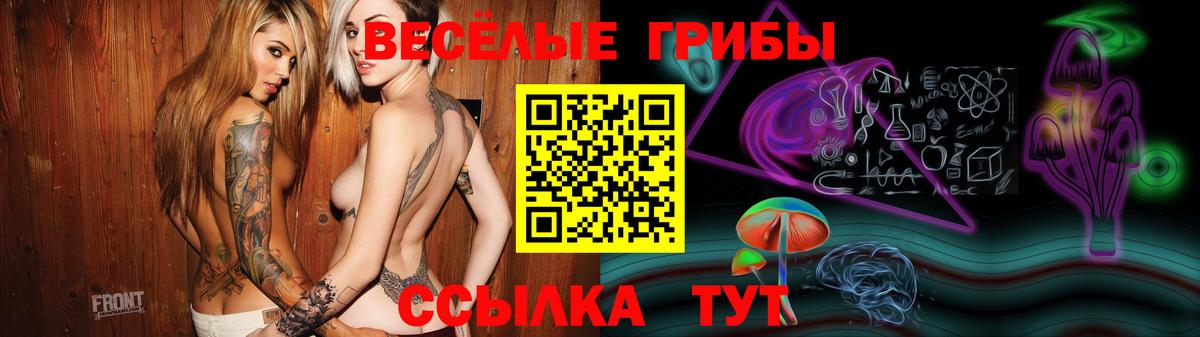 цены   Вход с VPN  Галлюциногенные грибы мицелий  Магадан  Галлюциногенные грибы мицелий 