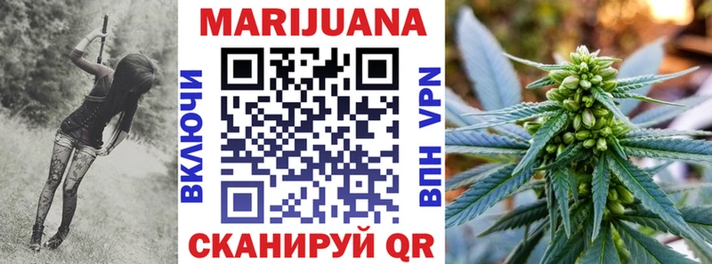 наркота  Магадан  Каннабис план 