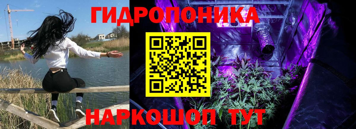 Бошки марихуана White Widow Магадан
